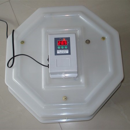 60 egg poultry incubator 60 egg poultry incubator